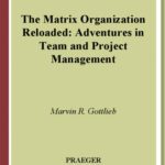 خرید و دانلود نسخه کامل کتاب The Matrix Organization Reloaded: Adventures in Team and Project Management (Creating Corporate Cultures)