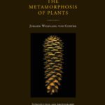خرید و دانلود نسخه کامل کتاب The Metamorphosis of Plants