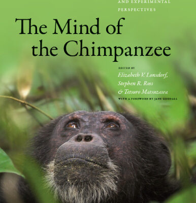 خرید و دانلود نسخه کامل کتاب The Mind of the Chimpanzee: Ecological and Experimental Perspectives