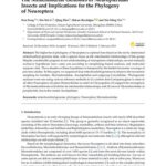 خرید و دانلود نسخه کامل کتاب The mitochondrial genomes of neuropteridan insects and implications for the phylogeny of Neuroptera