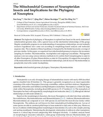 خرید و دانلود نسخه کامل کتاب The mitochondrial genomes of neuropteridan insects and implications for the phylogeny of Neuroptera