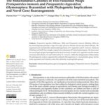 خرید و دانلود نسخه کامل کتاب The Mitochondrial Genomes of Two Parasitoid Wasps Protapanteles immunis and Parapanteles hyposidrae (Hymenoptera: Braconidae) with Phylogenetic Implications and Novel Gene Rearrangements