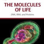 خرید و دانلود نسخه کامل کتاب The Molecules of Life: DNA, RNA, and proteins (Genetics and Evolution)