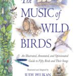 خرید و دانلود نسخه کامل کتاب The Music of Wild Birds: An Illustrated, Annotated, and Opinionated Guide to Fifty Birds and Their Songs