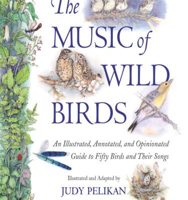 خرید و دانلود نسخه کامل کتاب The Music of Wild Birds: An Illustrated, Annotated, and Opinionated Guide to Fifty Birds and Their Songs