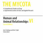 خرید و دانلود نسخه کامل کتاب The mycota: a comprehensive treatise on fungi as experimental systems for basic and applied research