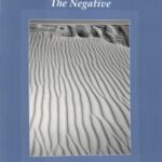 خرید و دانلود نسخه کامل کتاب The Negative