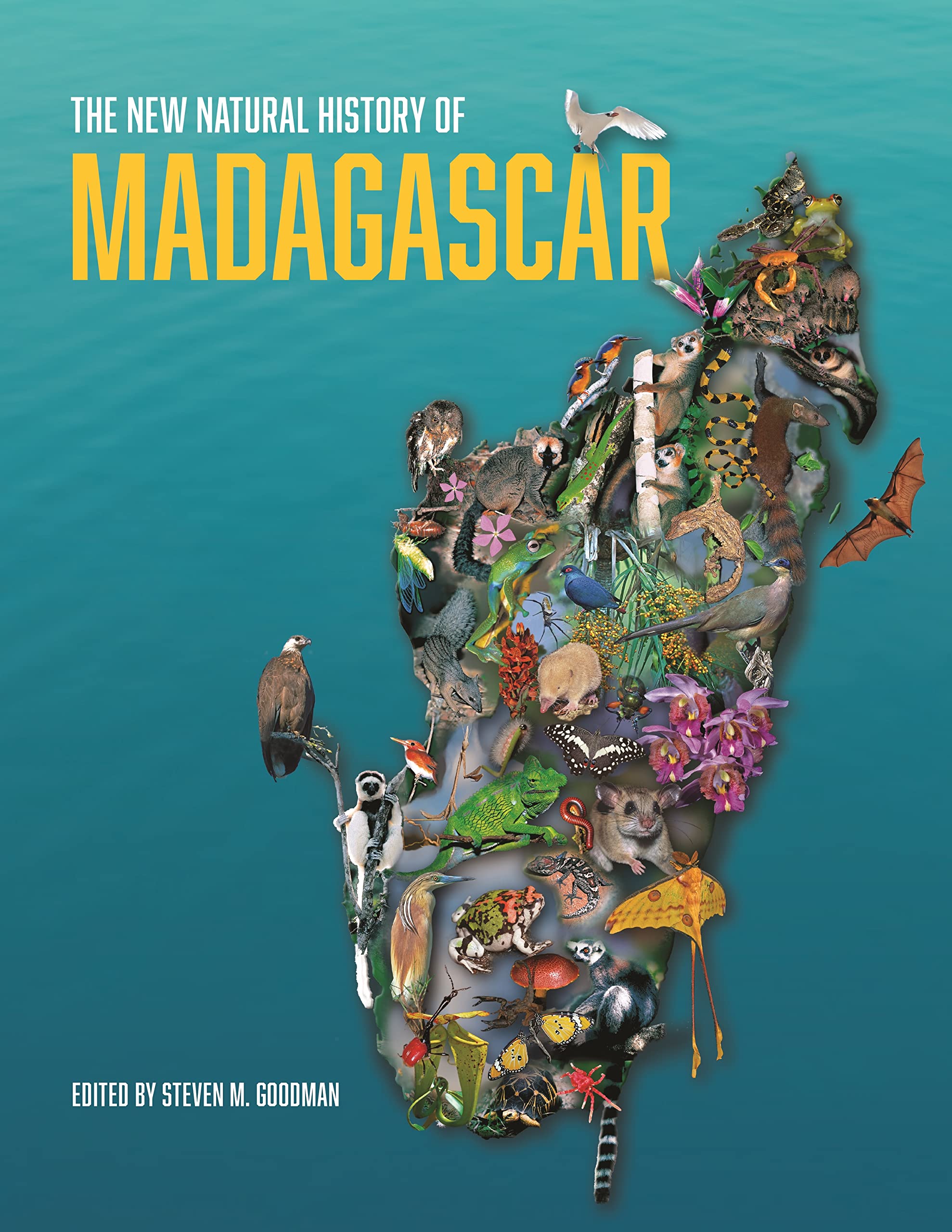 خرید و دانلود نسخه کامل کتاب The New Natural History of Madagascar_68e10fd251eb4.jpeg خرید و دانلود نسخه کامل کتاب The New Natural History of Madagascar