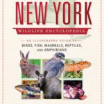خرید و دانلود نسخه کامل کتاب The New York Wildlife Encyclopedia: An Illustrated Guide to Birds, Fish, Mammals, Reptiles, and Amphibians