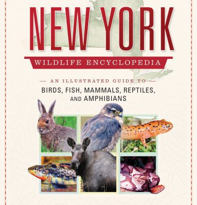 خرید و دانلود نسخه کامل کتاب The New York Wildlife Encyclopedia: An Illustrated Guide to Birds, Fish, Mammals, Reptiles, and Amphibians