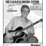 خرید و دانلود نسخه کامل کتاب The Next Step: Exploring Blues and Ragtime Progressions