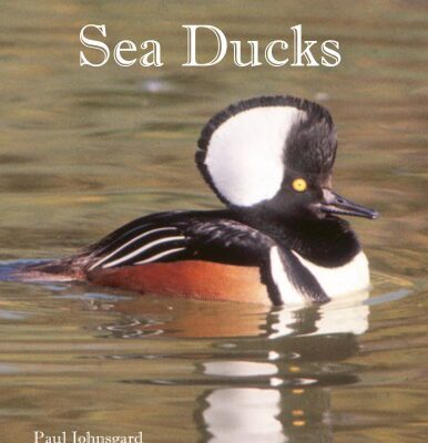 خرید و دانلود نسخه کامل کتاب The North American Sea Ducks: Their Biology and Behavior