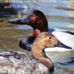 خرید و دانلود نسخه کامل کتاب The North American Whistling-Ducks, Pochards, and Stifftails