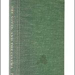 خرید و دانلود نسخه کامل کتاب The Novel and the Cinema