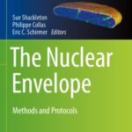 خرید و دانلود نسخه کامل کتاب The Nuclear Envelope: Methods and Protocols