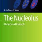 خرید و دانلود نسخه کامل کتاب The Nucleolus: Methods and Protocols
