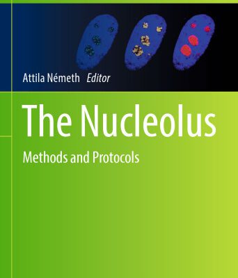 خرید و دانلود نسخه کامل کتاب The Nucleolus: Methods and Protocols