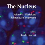 خرید و دانلود نسخه کامل کتاب The Nucleus: Volume 1: Nuclei and Subnuclear Components