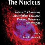 خرید و دانلود نسخه کامل کتاب The Nucleus: Volume 2: Chromatin, Transcription, Envelope, Proteins, Dynamics, and Imaging
