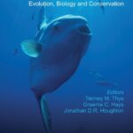 خرید و دانلود نسخه کامل کتاب The Ocean Sunfishes: Evolution, Biology and Conservation