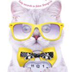 خرید و دانلود نسخه کامل کتاب The One Minute Cat Manager: Sixty Seconds to Feline Shangri-la