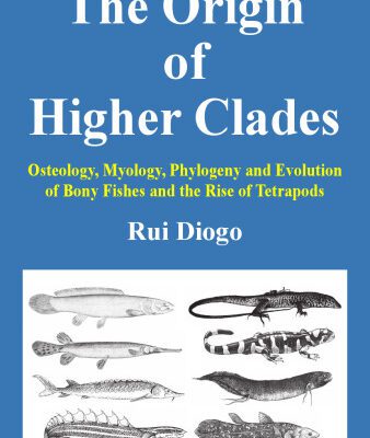 خرید و دانلود نسخه کامل کتاب The origin of higher clades. Osteology, myology, phylogeny and evolution of bony fishes and the rise of tetrapods