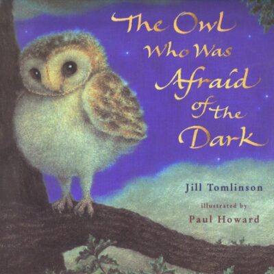 خرید و دانلود نسخه کامل کتاب The Owl Who Was Afraid of the Dark