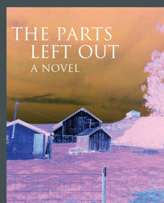 خرید و دانلود نسخه کامل کتاب The Parts Left Out: A Novel