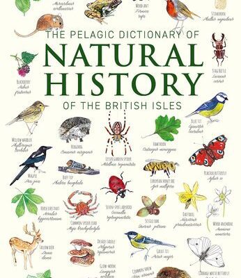 خرید و دانلود نسخه کامل کتاب The Pelagic Dictionary of Natural History of the British Isles: Descriptions of all Species with a Common Name