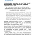 خرید و دانلود نسخه کامل کتاب The phenotypic expression of Purple Body (Pb) in domestic guppy strains of Poecilia reticulata