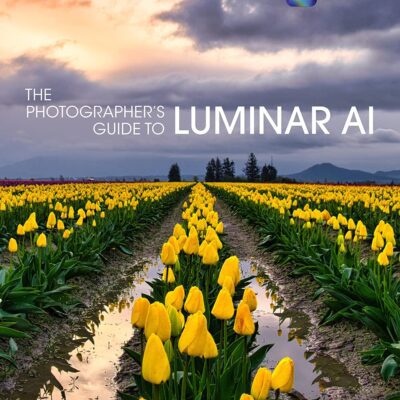 خرید و دانلود نسخه کامل کتاب The Photographer’s Guide to Luminar AI