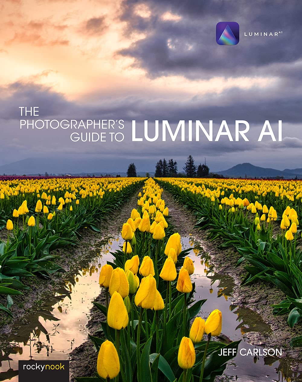 خرید و دانلود نسخه کامل کتاب The Photographer’s Guide to Luminar AI_68e040de67b73.jpeg خرید و دانلود نسخه کامل کتاب The Photographer’s Guide to Luminar AI