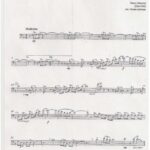 خرید و دانلود نسخه کامل کتاب The pink panther quartet. (for 4 trombones)
