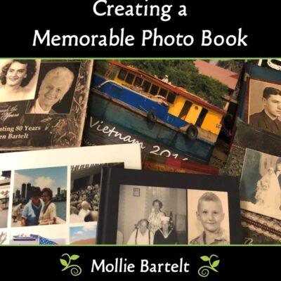 خرید و دانلود نسخه کامل کتاب The Pixologist’s Guide to Creating a Memorable Photo Book