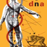 خرید و دانلود نسخه کامل کتاب The Poetics of DNA (Posthumanities)