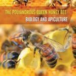 خرید و دانلود نسخه کامل کتاب The Polyandrous Queen Honey Bee: Biology and Apiculture