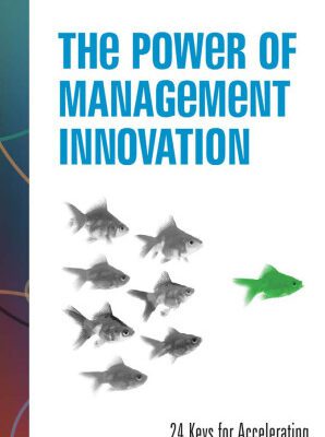خرید و دانلود نسخه کامل کتاب The Power of Management Innovation: 24 Keys for Accelerating Profitability and Growth (Mighty Managers Series)