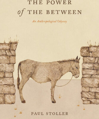 خرید و دانلود نسخه کامل کتاب The Power of the Between: An Anthropological Odyssey