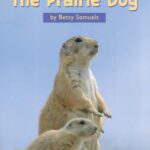 خرید و دانلود نسخه کامل کتاب The Prairie Dog