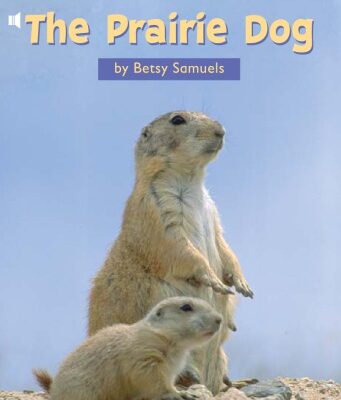 خرید و دانلود نسخه کامل کتاب The Prairie Dog