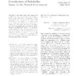 خرید و دانلود نسخه کامل کتاب The Primordial Stakeholder