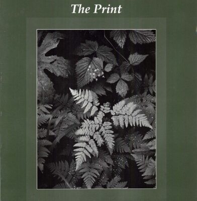 خرید و دانلود نسخه کامل کتاب The Print