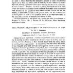خرید و دانلود نسخه کامل کتاب The Protein Requirement of Maintenance in Man
