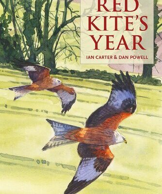 خرید و دانلود نسخه کامل کتاب The Red Kite’s Year