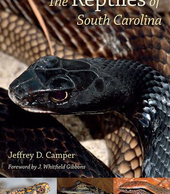 خرید و دانلود نسخه کامل کتاب The Reptiles of South Carolina