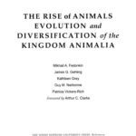 خرید و دانلود نسخه کامل کتاب The rice of animals evolution and diversification of the kingdom animalia
