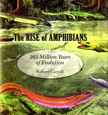 خرید و دانلود نسخه کامل کتاب The Rise of Amphibians: 365 Million Years of Evolution