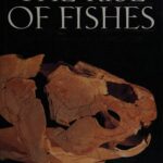 خرید و دانلود نسخه کامل کتاب The Rise of Fishes: 500 Million Years of Evolution
