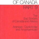 خرید و دانلود نسخه کامل کتاب The sac spiders of Canada and Alaska: Araneae, Clubionidae and Anyphaenidae (The Insects and arachnids of Canada)