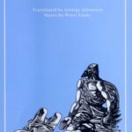 خرید و دانلود نسخه کامل کتاب The Saga of Gisli the Outlaw
